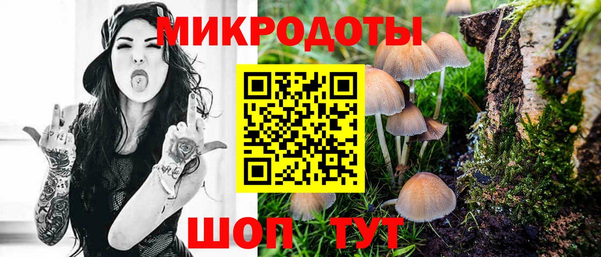 Псилоцибиновые грибы Cubensis Арсеньев